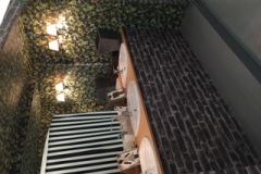 TOILETTES SOUS LES TIVOLIS2